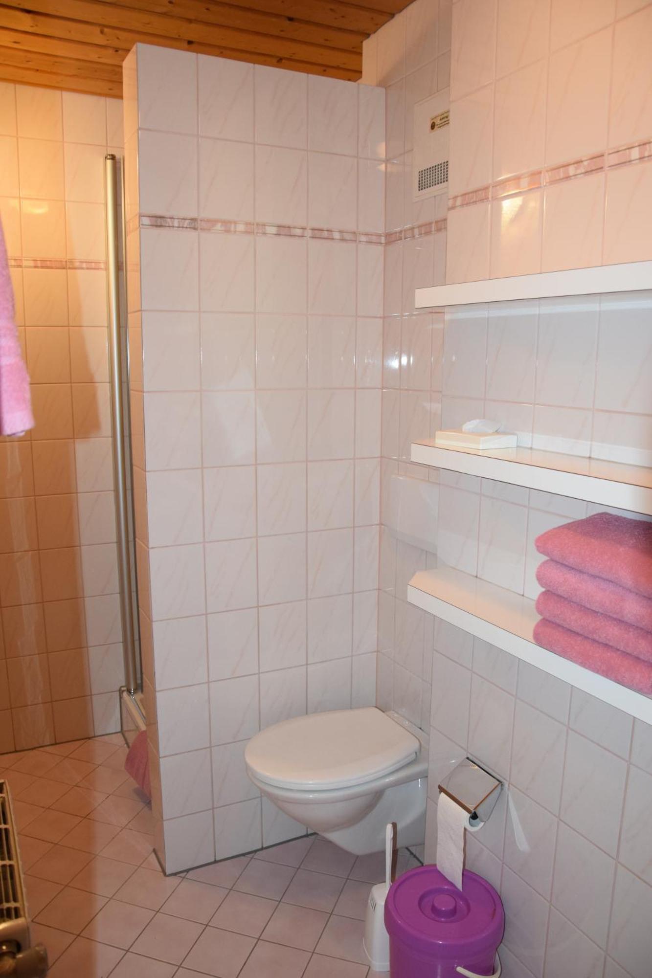 Loeschenbrandhof Apartment Mittersill Bagian luar foto